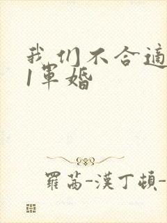 我们不合适1v1军婚