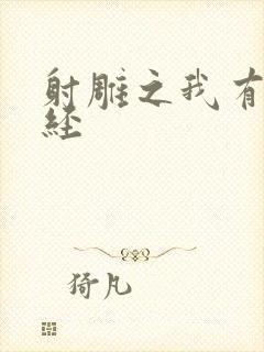 射雕之我有太玄经