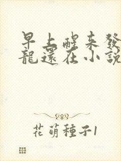 早上醒来发现巨龙还在小说