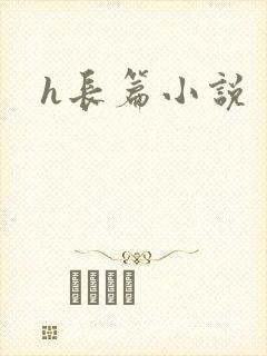 h长篇小说