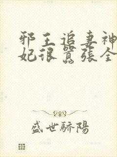 邪王追妻神医狂妃很嚣张全文免费