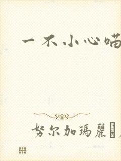 一不小心喵上你