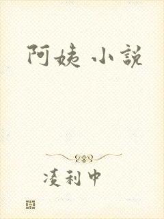 阿姨 小说