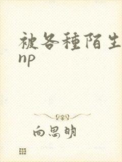 被各种陌生人 np