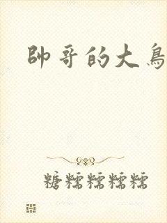 帅哥的大鸟