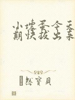 小坏蛋今天危险期快拔出来