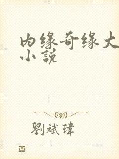 内缘奇缘大团圆小说