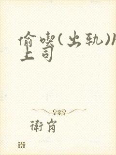 偷吃(出轨)h上司