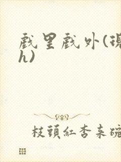 戏里戏外(现场h)