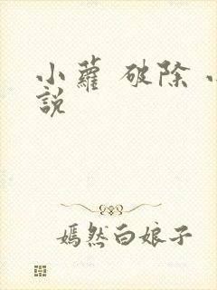 小萝 破除 小说