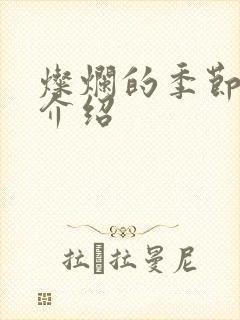 灿烂的季节剧情介绍