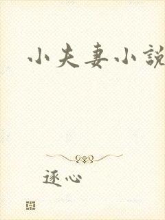 小夫妻小说