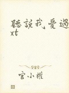 听说我爱过你txt