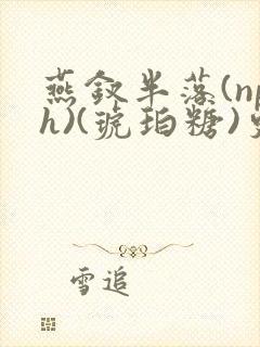 燕钗半落(nph)(琥珀糖)更新