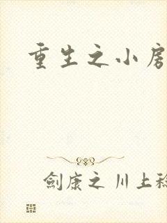 重生之小房东