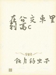 在公交车里c弄到高c