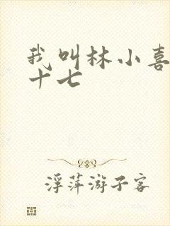 我叫林小喜今年十七
