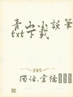 青山小说笔趣阁txt下载