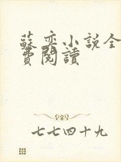 苏奕小说全文免费阅读