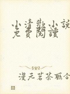 小清欢小说全文免费阅读