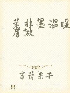 叶非墨温暖在厨房做