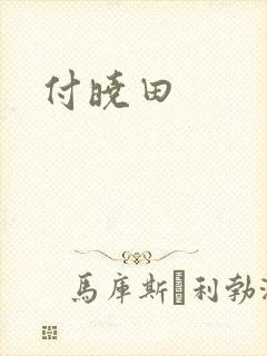付晓田