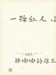 一号红人 小说