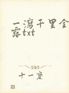 一泻千里金银花露txt