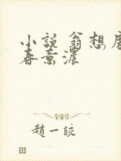 小说 翁想房中春意浓