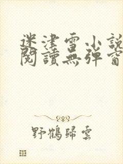 迷津雪小说免费阅读无弹窗