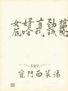 女婿有劲枪枪到底啥我钱飞了