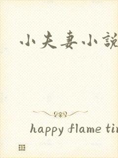 小夫妻小说
