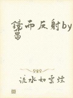 镜面反射by九葛