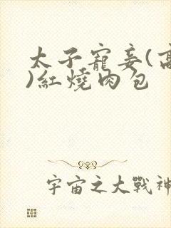 太子宠妾(高肉)红烧肉包