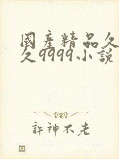 国产精品久久久久9999小说