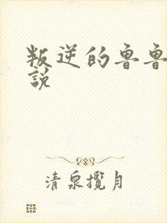 叛逆的鲁鲁修小说