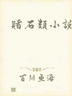 赌石类小说