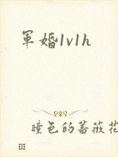 军婚1v1h