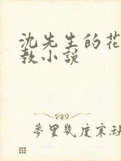 沈先生的花式管教小说