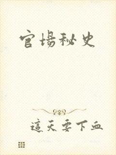 官场秘史