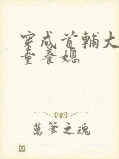 穿成首辅大人的童养媳