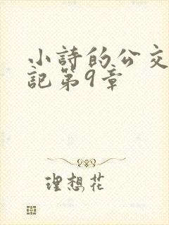 小诗的公交车日记第9章