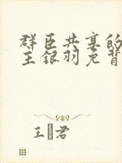 群臣共享的小公主银羽免背刺