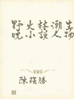 野火林潮生林晚晚小说人物野火