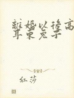 离婚以后高干 耳东兔子