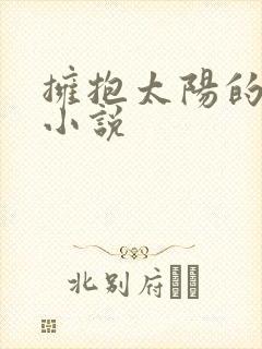 拥抱太阳的月亮小说