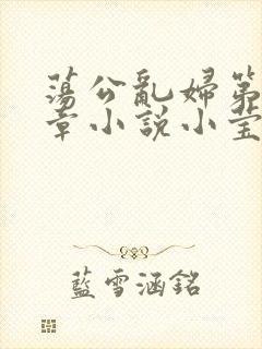 荡公乱妇第51章小说小莹