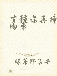 有种你再撞一下肉车