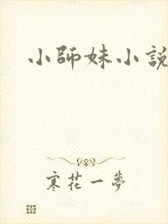 小师妹小说
