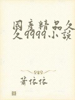 国产精品久久久久9999小说